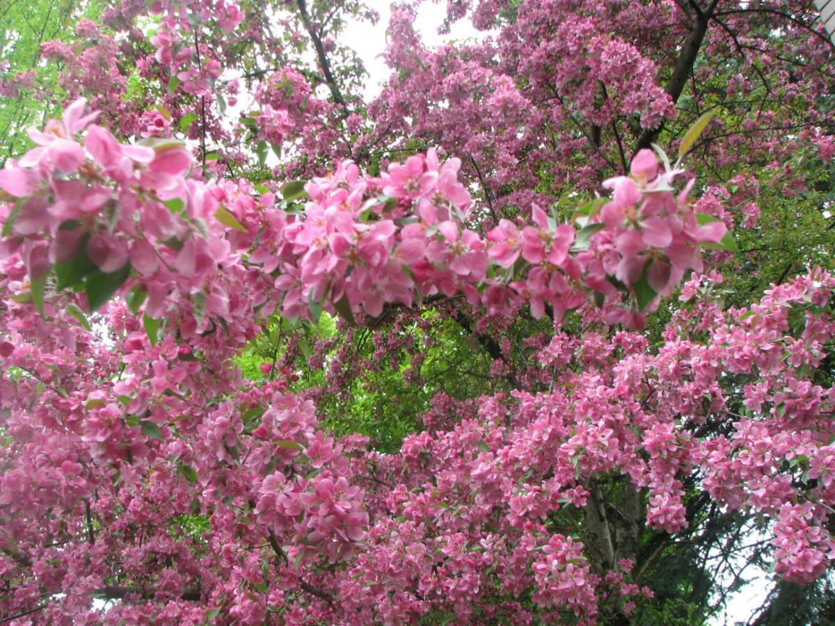 Magnolia B&B Granby Eksteriør bilde
